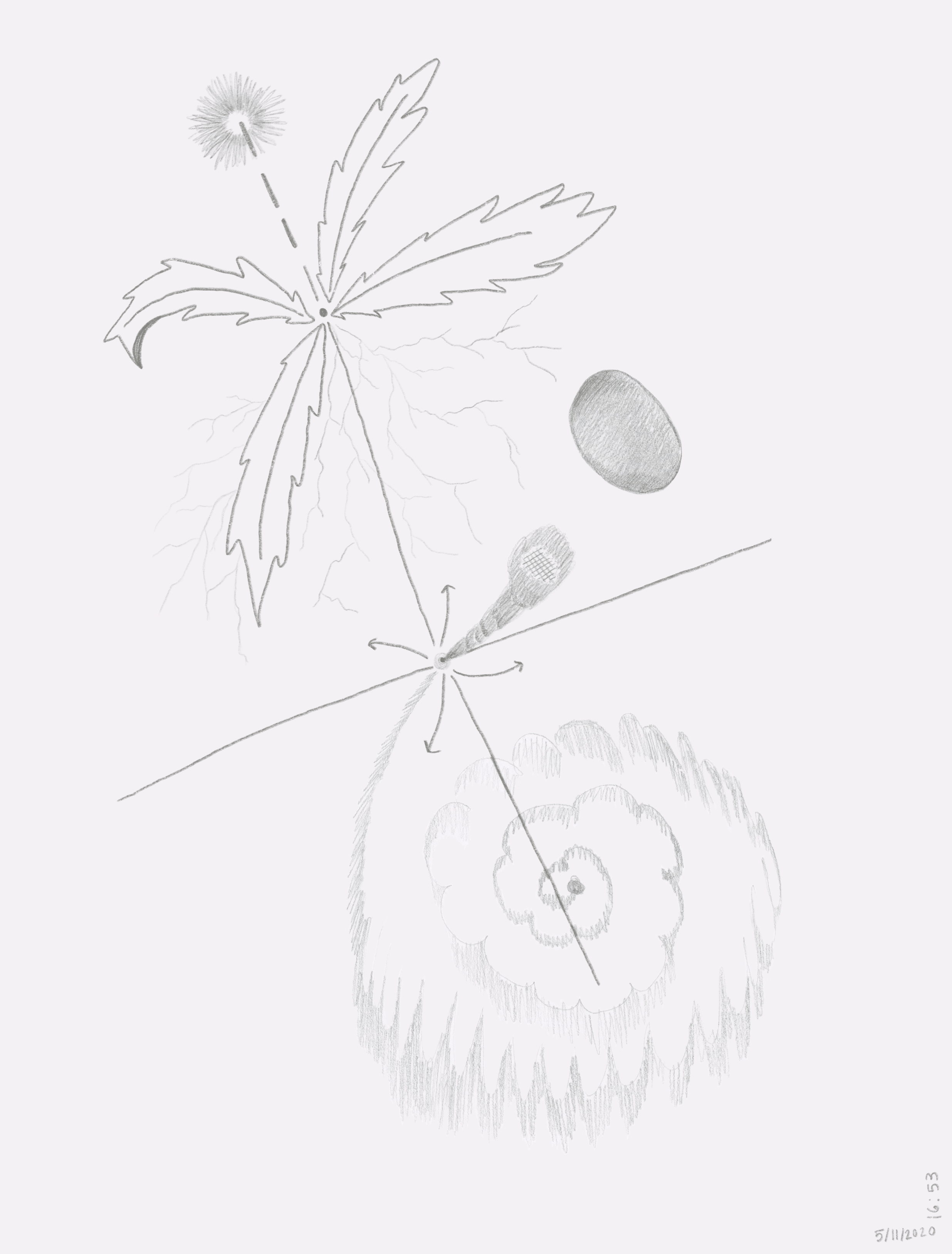 drawing done on may 11th 2020 at 16:53 EST, at the moment i was thinking of graphs, dandelions & their roots, points as rocks and spirals