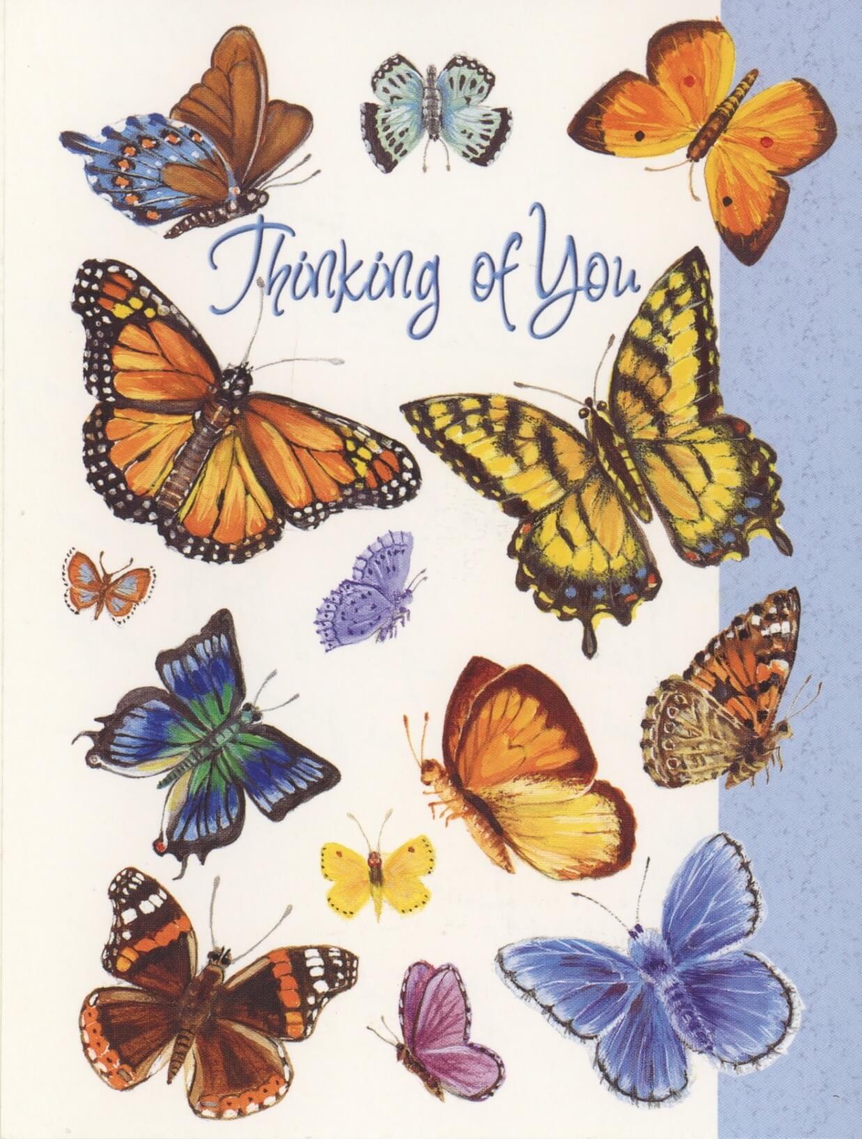 The cover of a hallmark greeting card that says 'Thinking Of You', there are illustrations of butterflys surrounding the text.